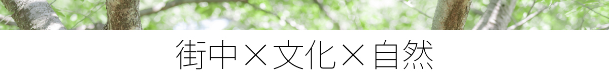 徳島県徳島市八万町内浜