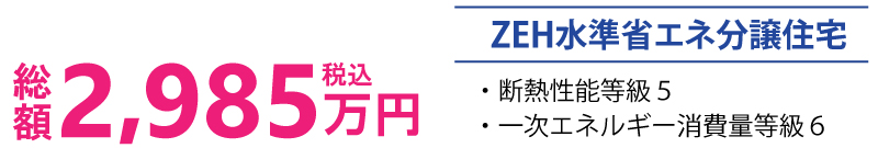 総額2,985万円(税込)