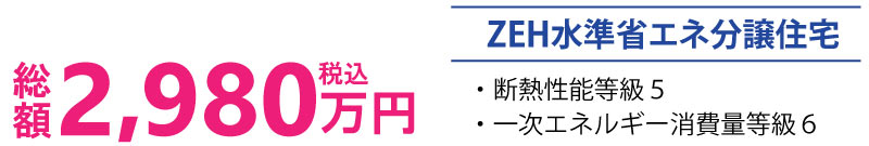 総額2,980万円（税込）