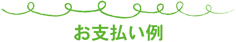 お支払い例