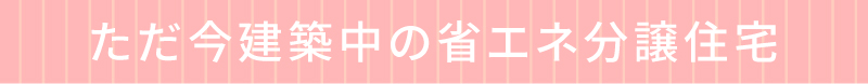 ただ今建築中の省エネ分譲住宅