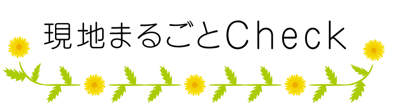 現地まるごとチェック