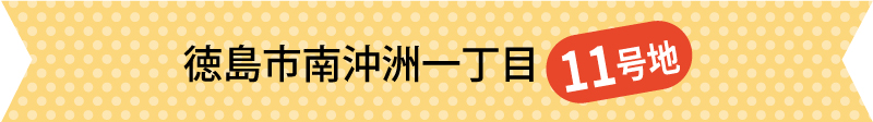 徳島市南沖洲一丁目11号地
