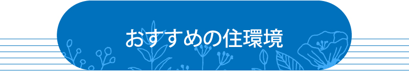 鳴門市大津町 おすすめの住環境