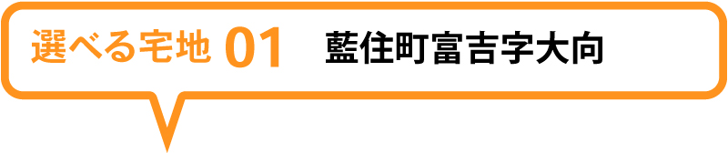 藍住町富吉字大向