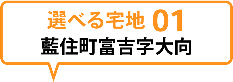 藍住町富吉字大向