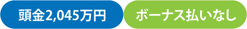 借入額2,045万円 ボーナス払いなし