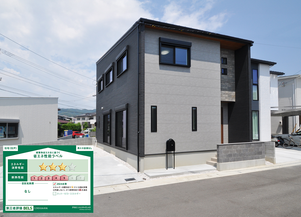 徳島市八万町6号地