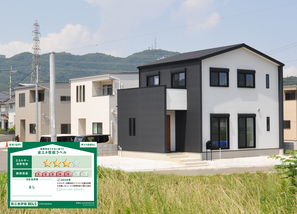 徳島市八万町9号地