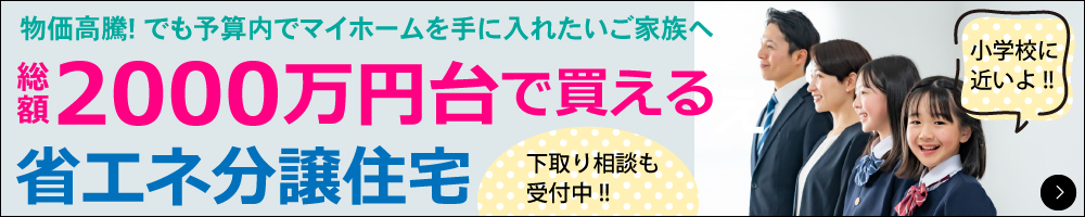 2000万円台で買える省エネ分譲住宅