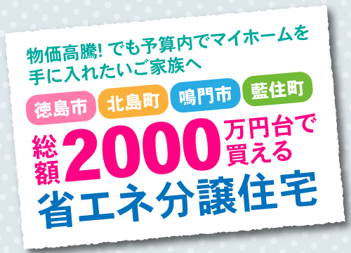 2000万円台で買える省エネ分譲住宅