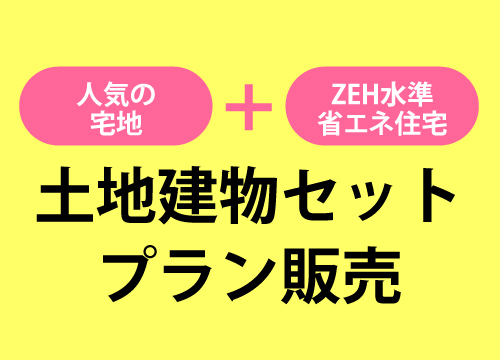 藍住町セットプラン