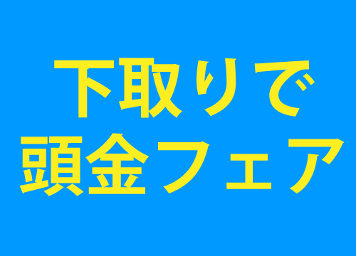 下取りで頭金フェア