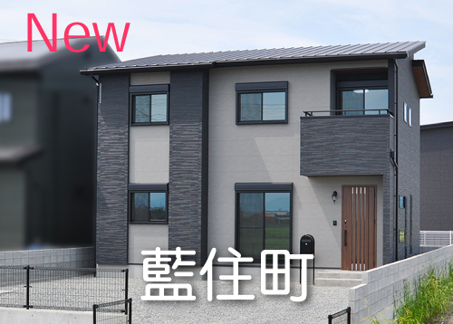 藍住町富吉大向(1号地)
