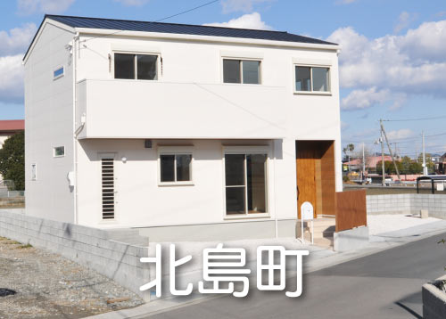 北島町中村字蛇池1号